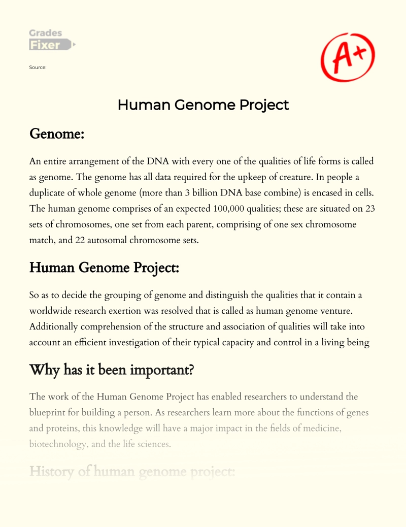 Human Genome Project Essay