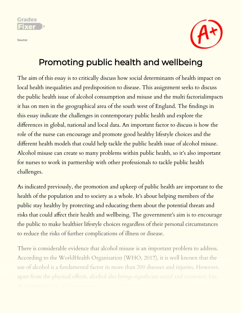 Promoting Public Health and Wellbeing Essay