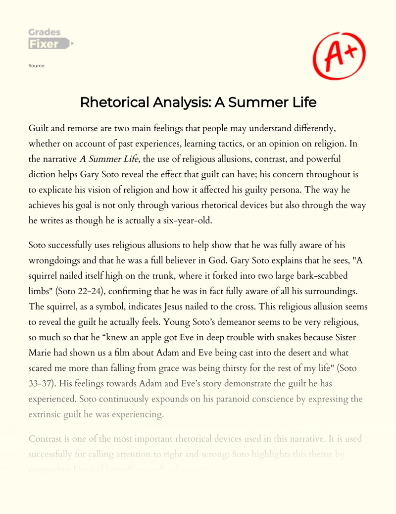 Rhetorical Analysis: a Summer Life Essay