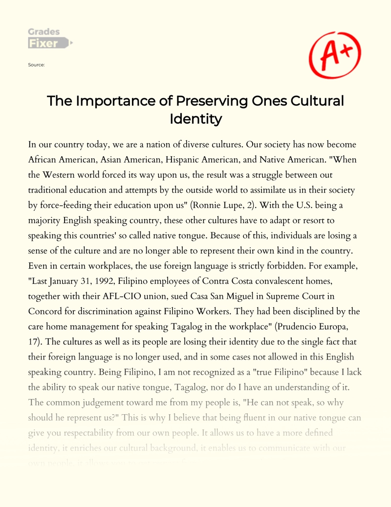The Importance of Preserving One's Cultural Identity Essay