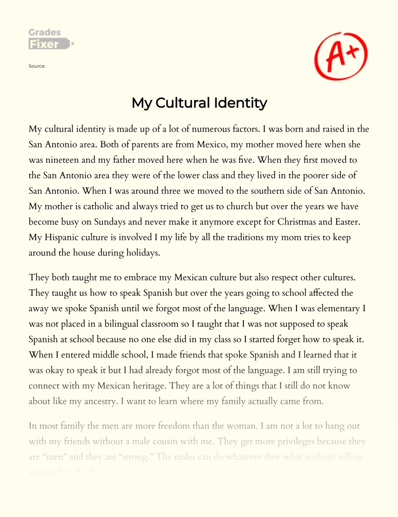 write an essay on our culture our identity