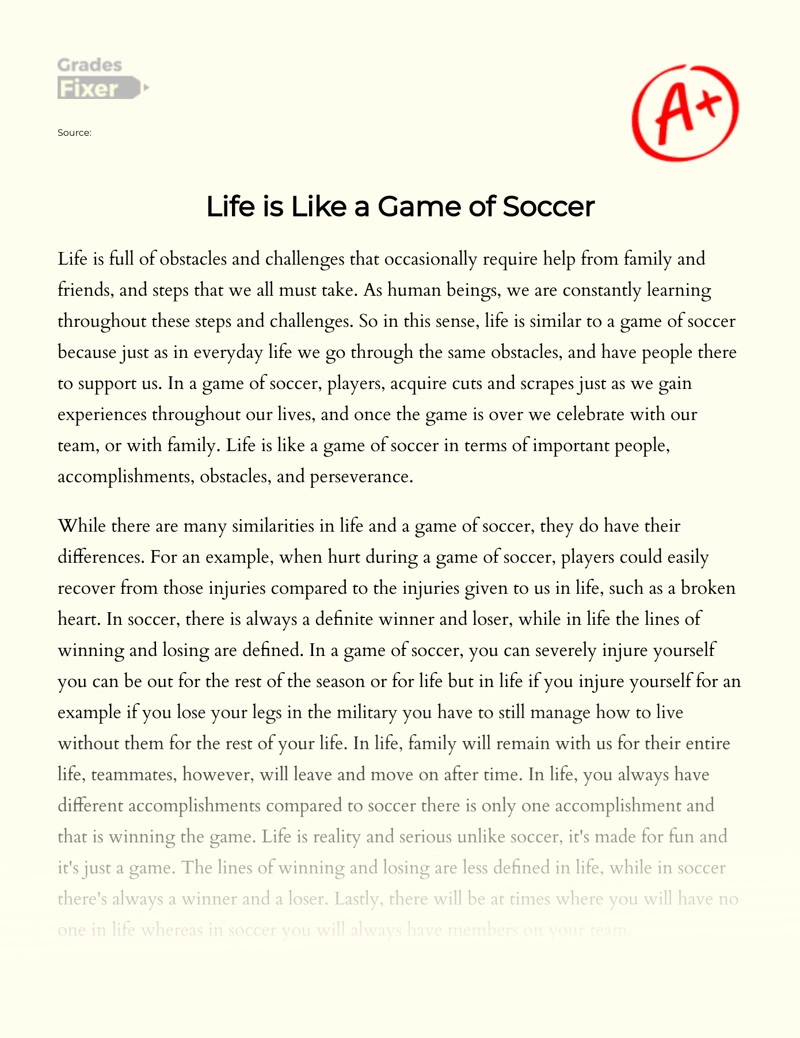 Life is Like a Game of Soccer essay