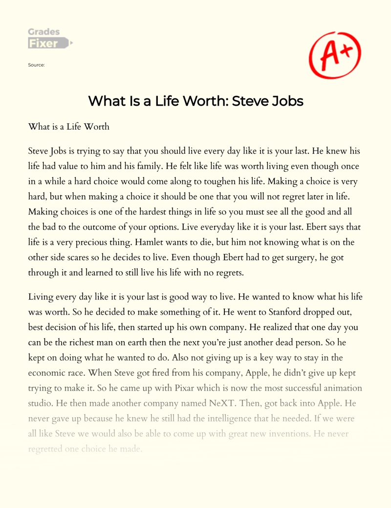 What is a Life Worth: Steve Jobs essay
