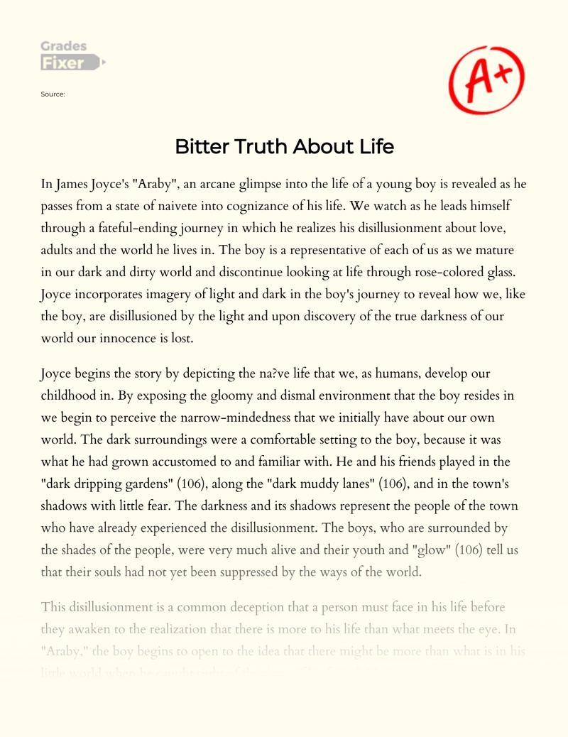 Bitter Truth About Life Essay