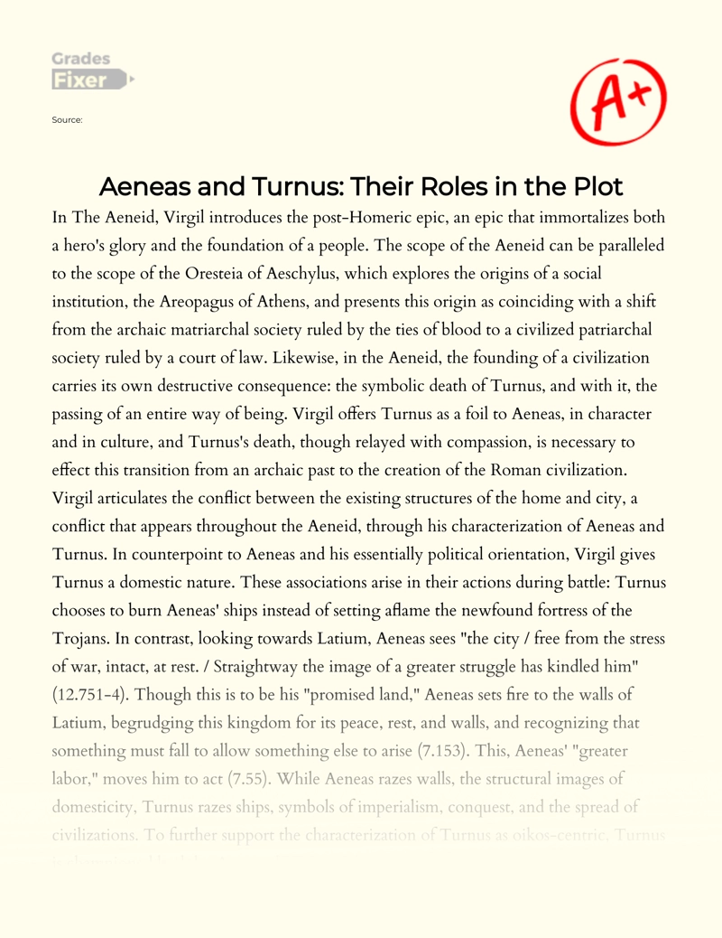 Aeneas and Turnus: Their Roles in The Plot essay