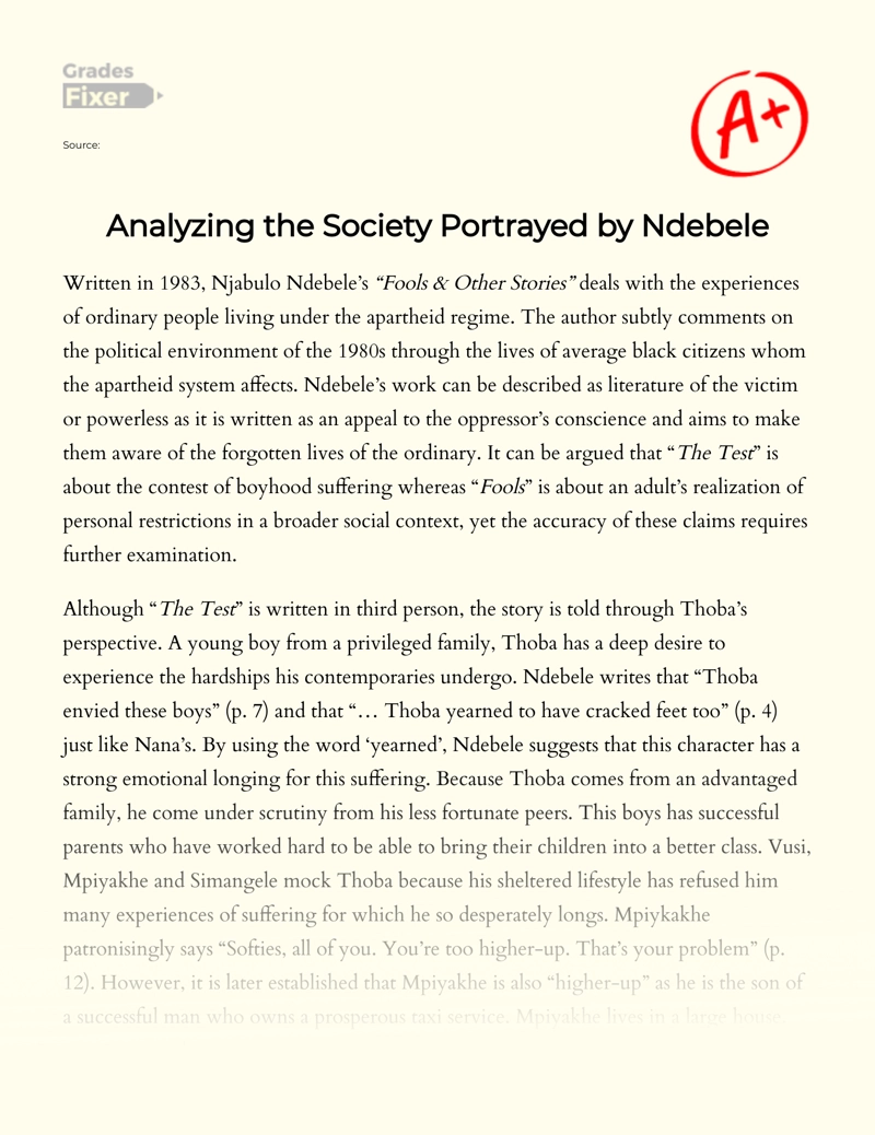 Analyzing The Society Portrayed by Ndebele essay