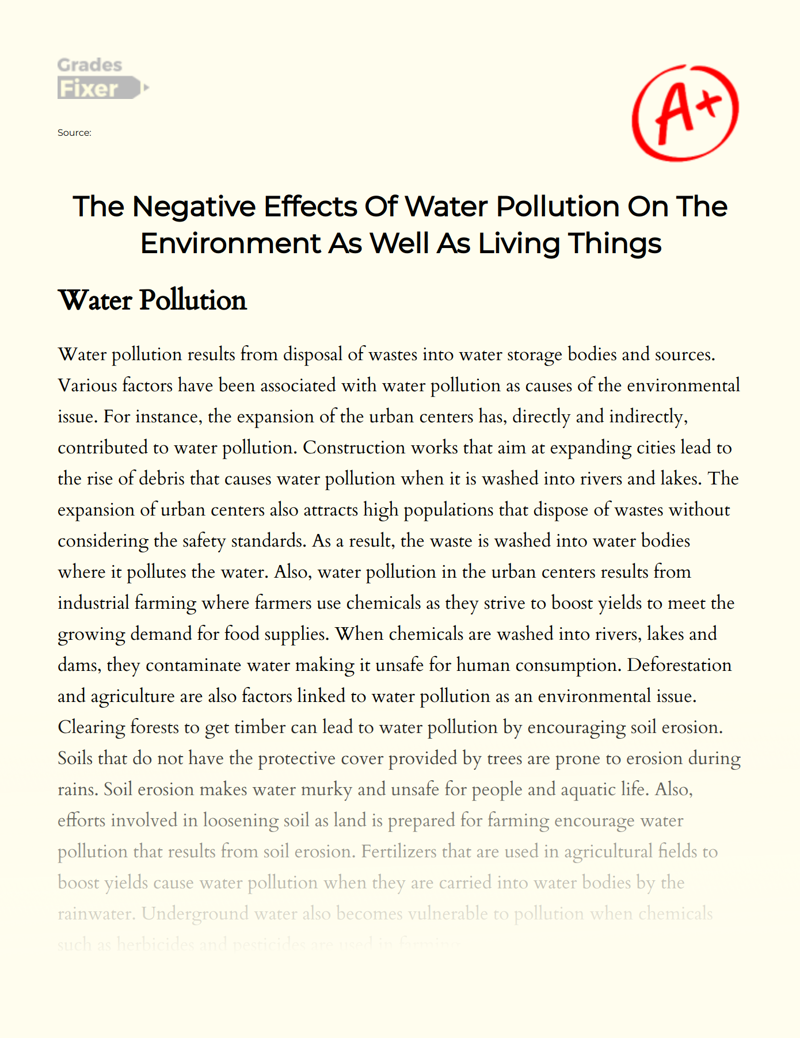 The Effects of Water Pollution on People and Animals Essay