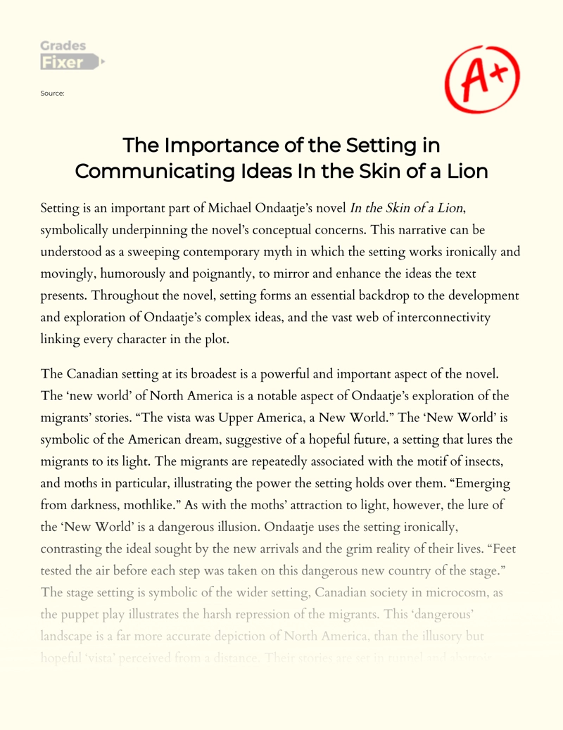 The Importance of The Setting in Communicating Ideas in The Skin of a Lion Essay