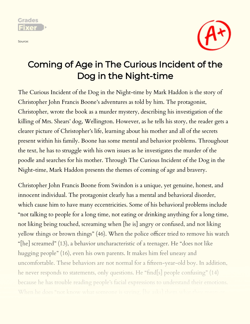 Coming of Age in "The Curious Incident of The Dog in The Night-time" essay