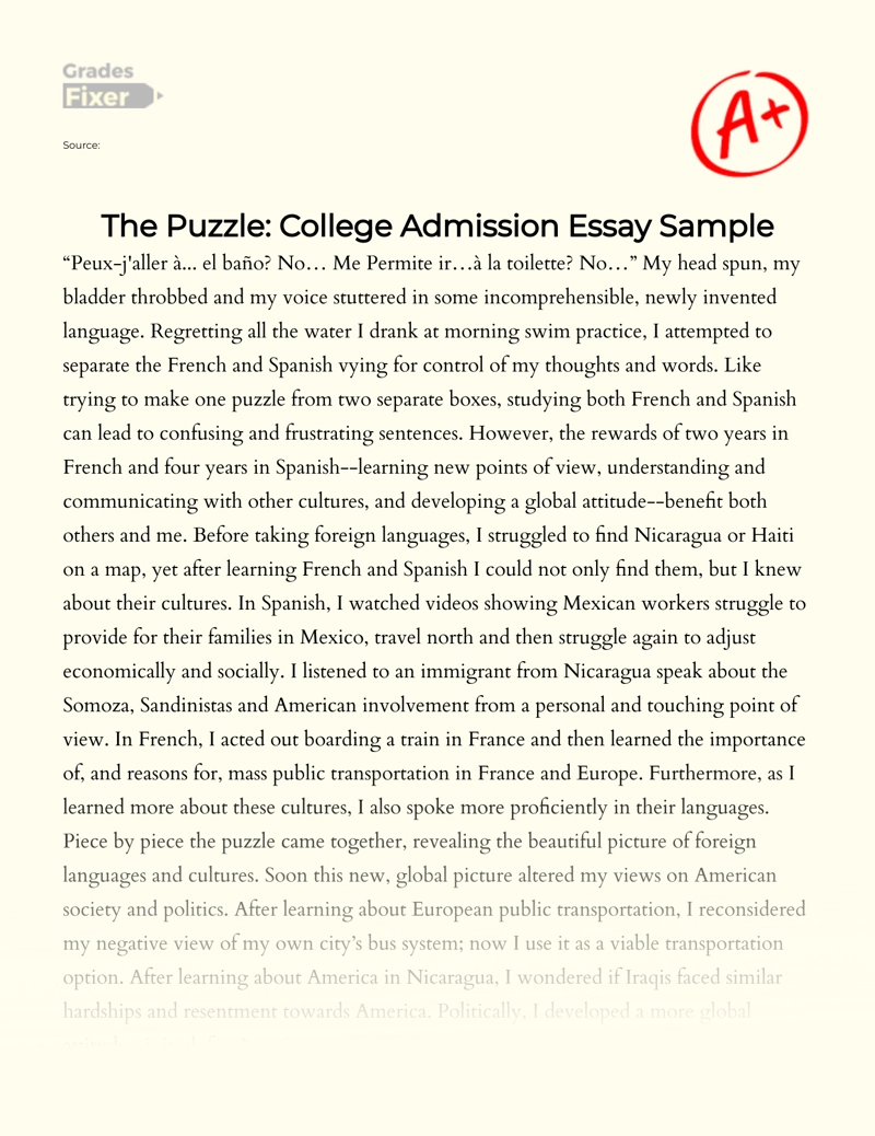 A World of Puzzles and Possibilities: Language Fusion Essay