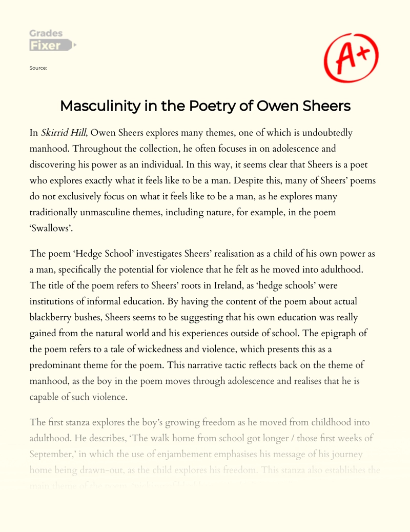 Masculinity in The Poetry of Owen Sheers Essay