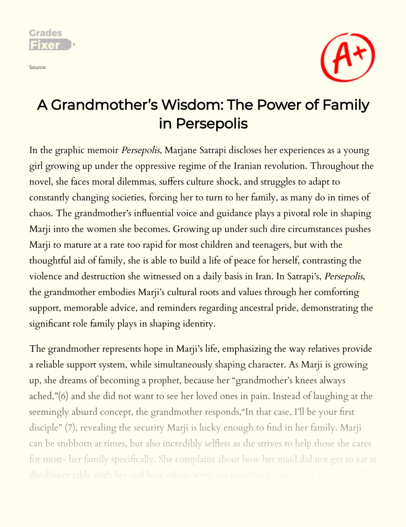 A Grandmother’s Wisdom: The Power of Family in Persepolis Essay