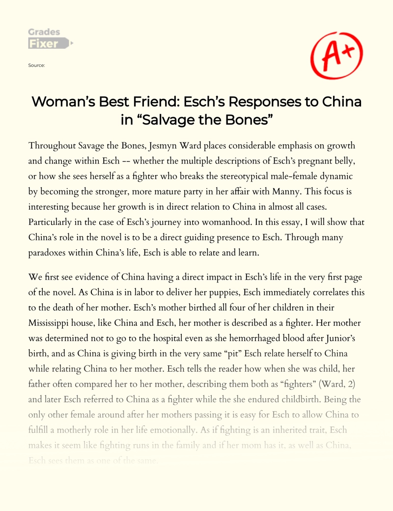 Woman’s Best Friend: Esch’s Responses to China in "Salvage The Bones" Essay