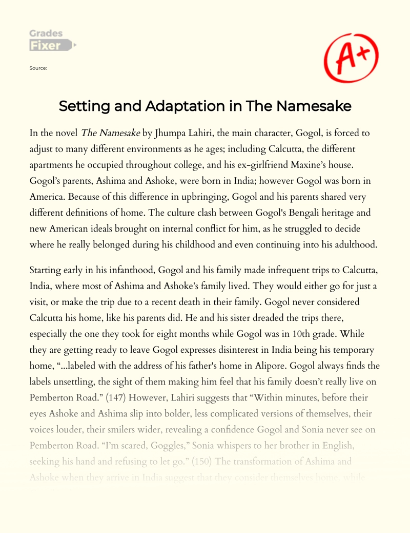 Setting and Adaptation in The Namesake Essay