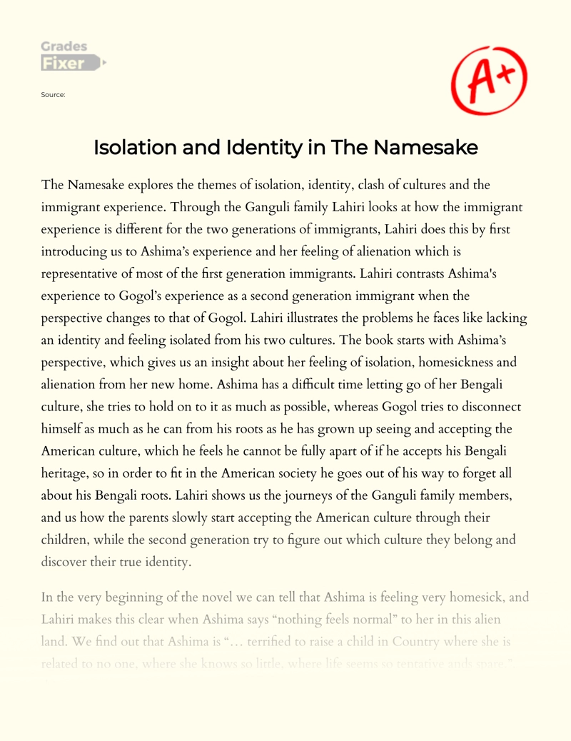Isolation and Identity in The Namesake Essay