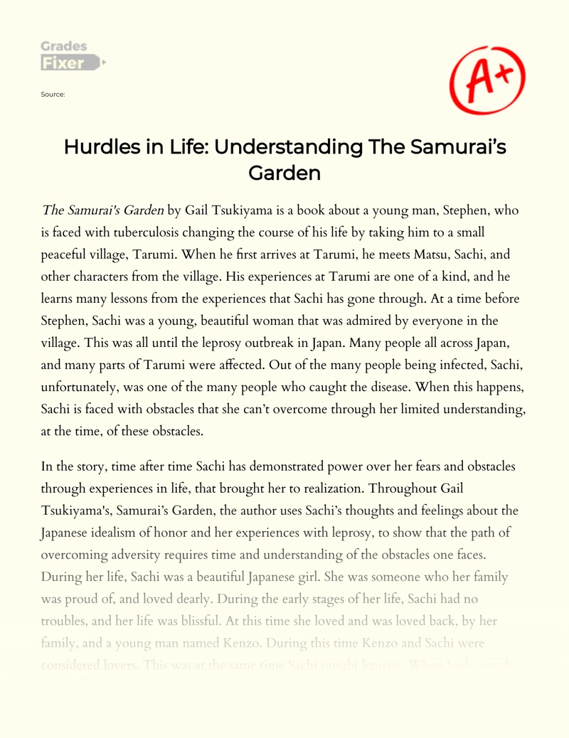 Hurdles in Life: Understanding The Samurai’s Garden Essay