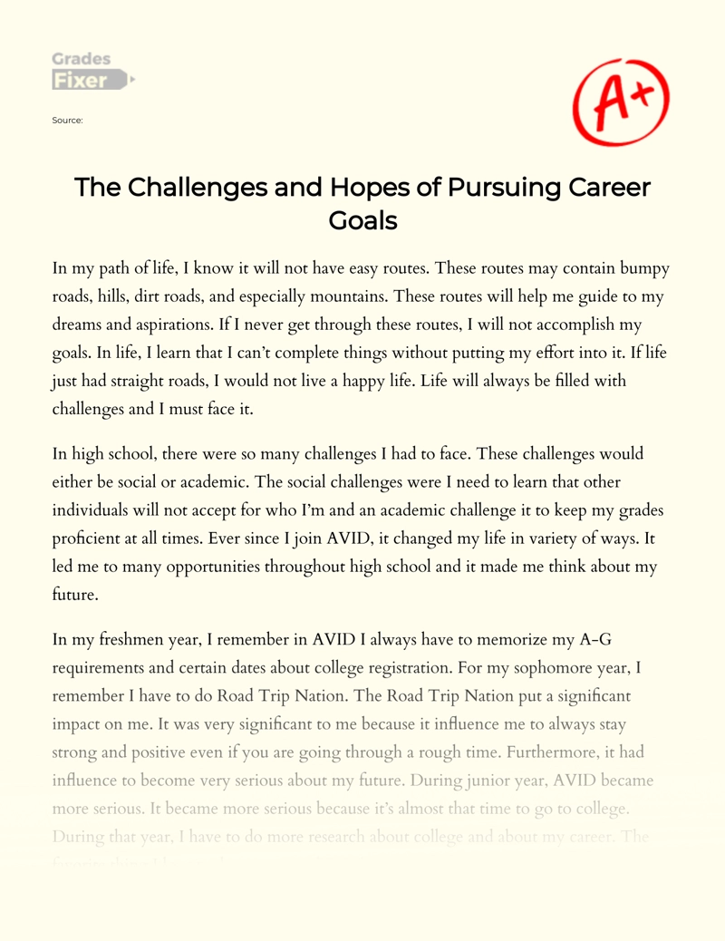 The Challenges and Hopes of Pursuing Career Goals essay