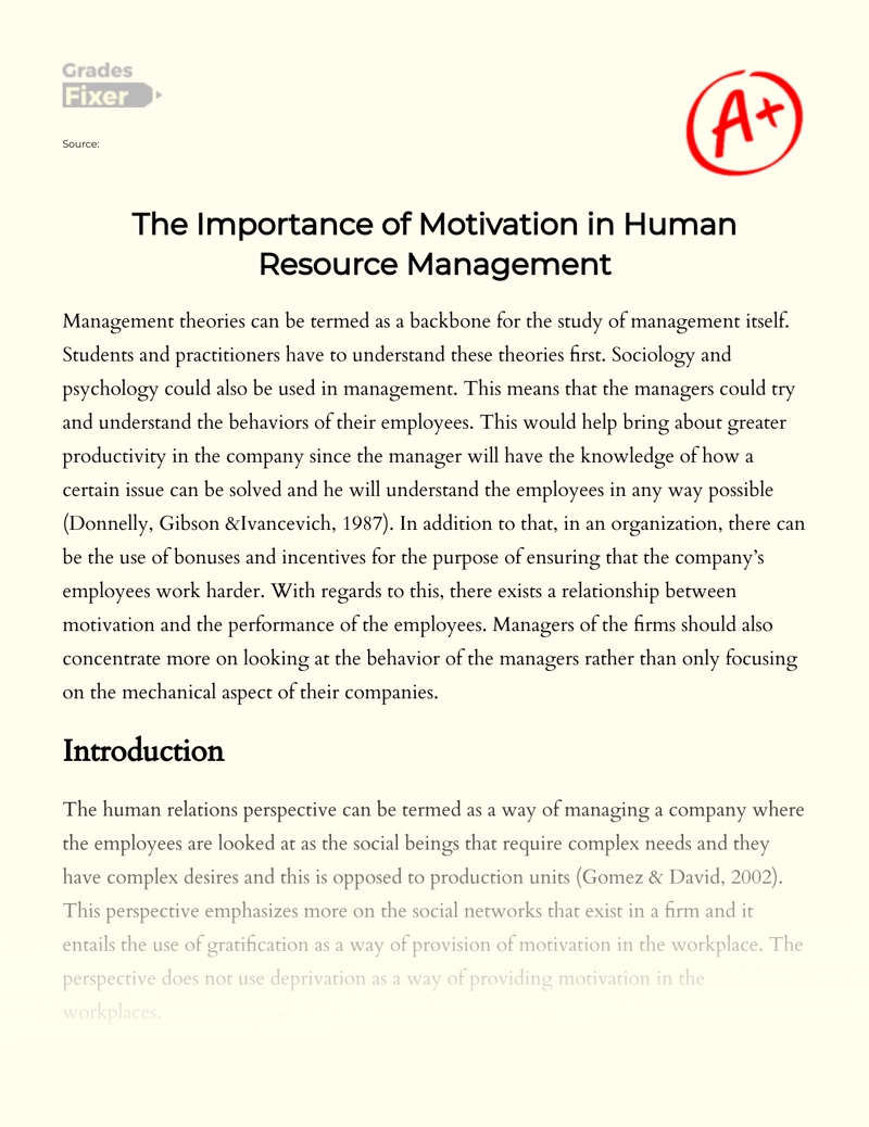 The Importance of Motivation in Human Resource Management Essay