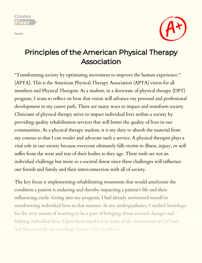 Principles of The American Physical Therapy Association
 essay