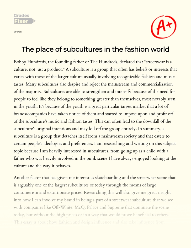 The Place of Subcultures in The Fashion World essay