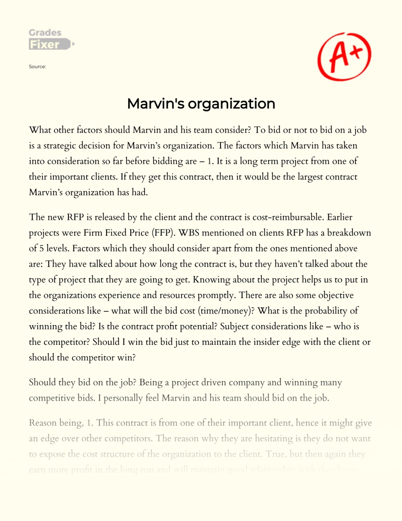 Marvin's Organization essay
