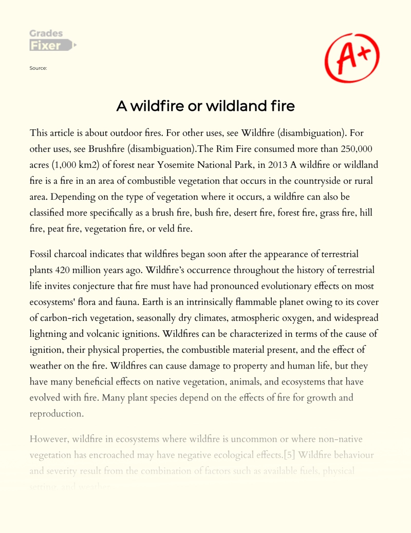 A Wildfire Or Wildland Fire Essay