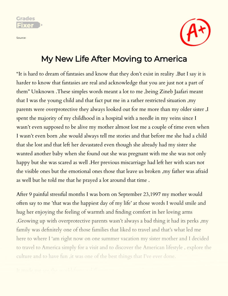 Moving to Another Country: My New Life in America Essay