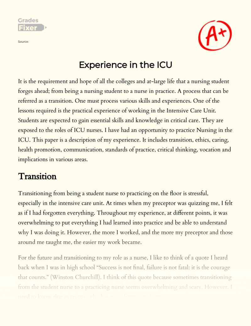 Experience in The Icu Essay