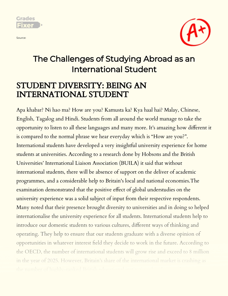 The Challenges of Studying Abroad as an International Student essay