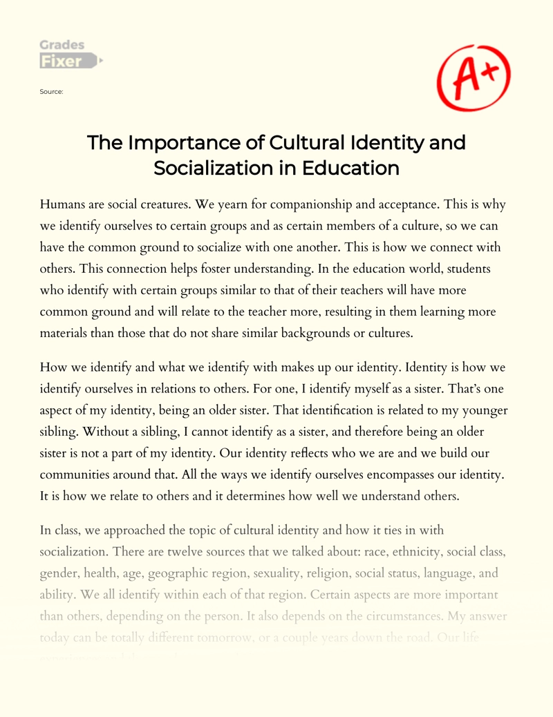 The Importance of Cultural Identity and Socialization in Education essay