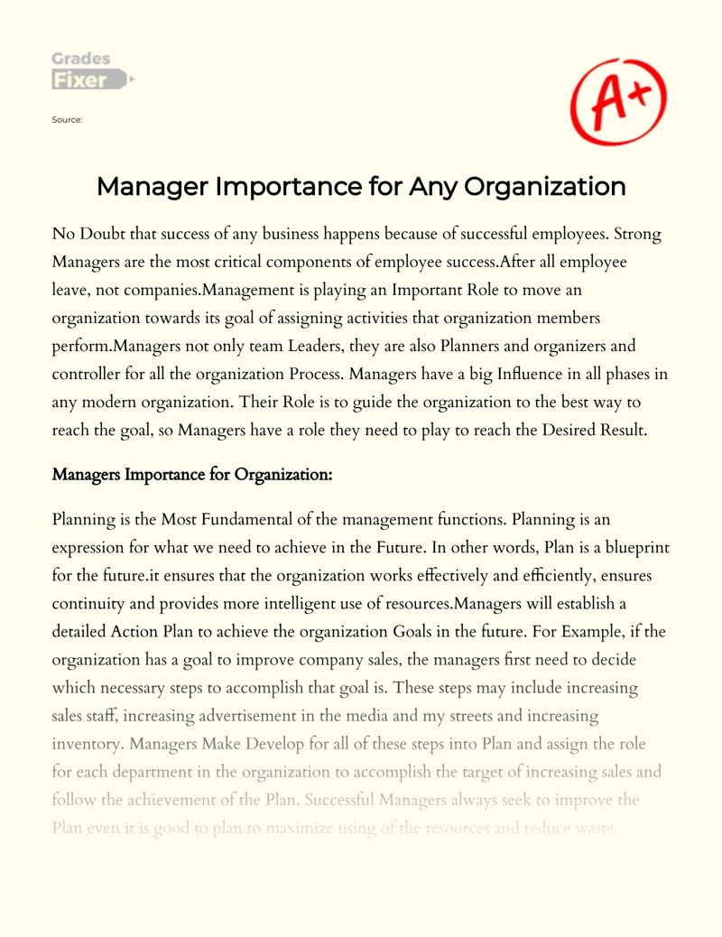Manager Importance for Any Organization essay