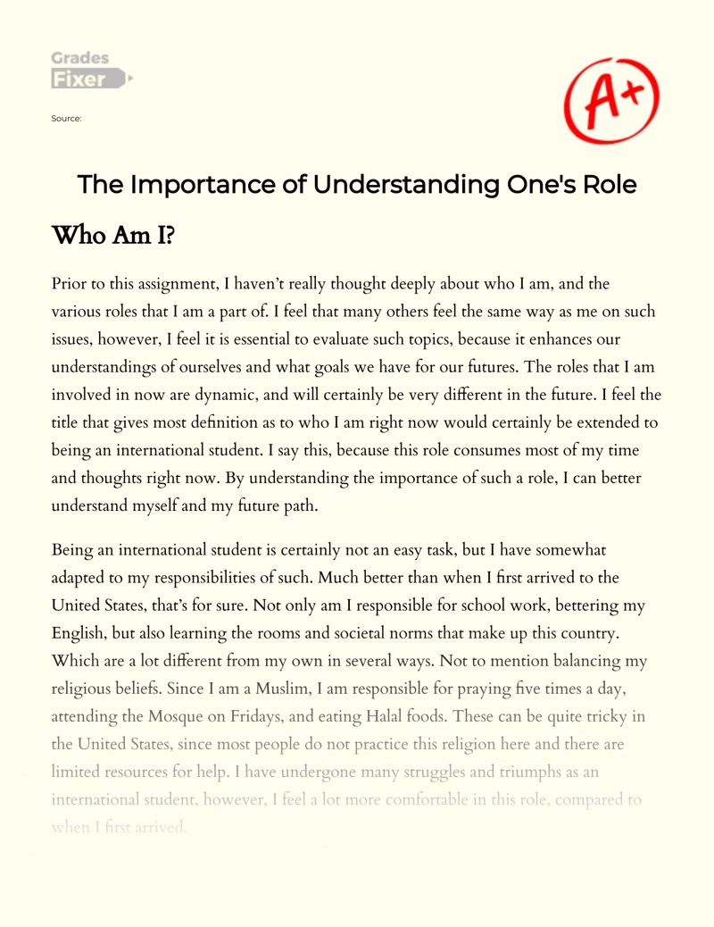 The Importance of Understanding One's Role essay