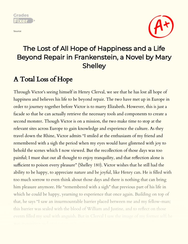 The Lost of All Hope of Happiness and a Life Beyond Repair in Frankenstein, a Novel by Mary Shelley essay