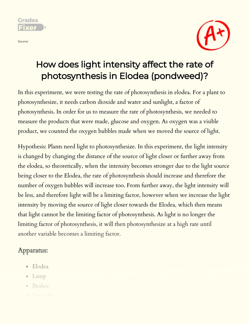 The Effect of Light Intensity on The Rate of Photosynthesis in Elodea (pondweed) essay