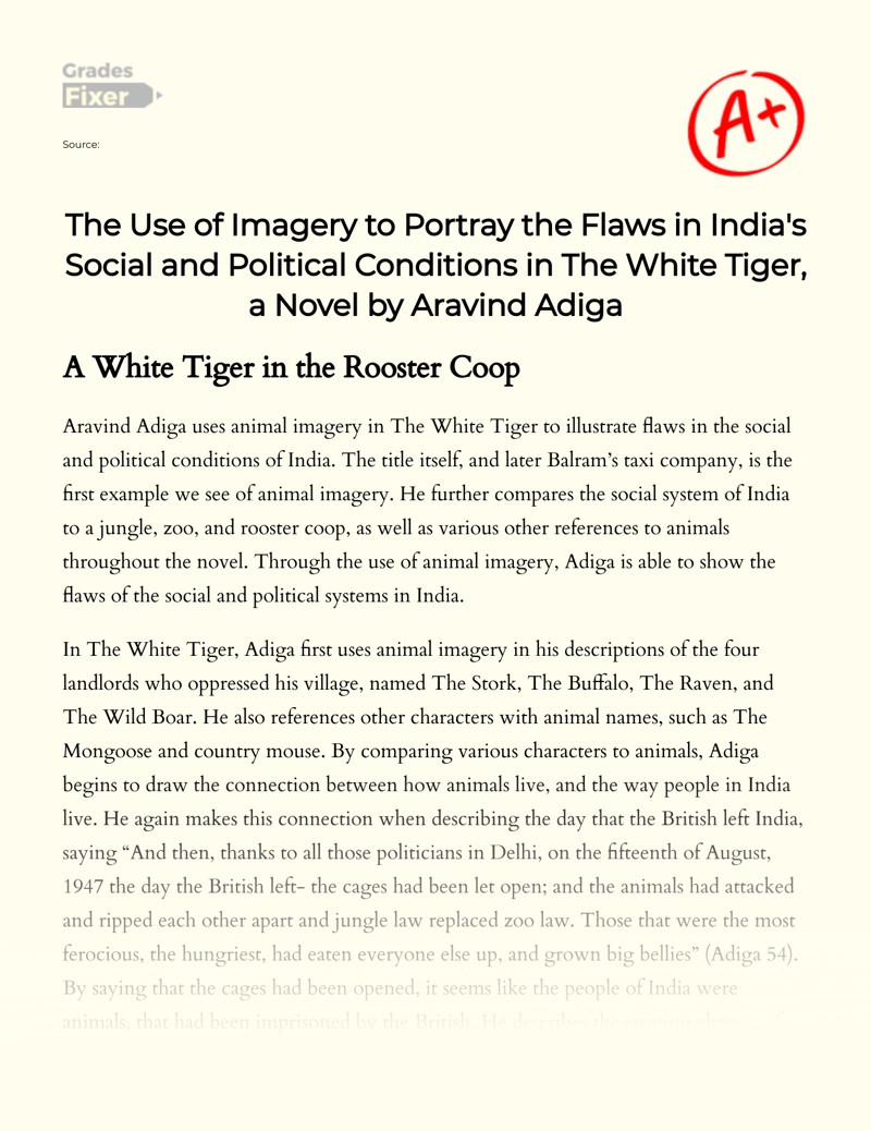 "The White Tiger": Analysis of The Use of Animal Imagery as a Social Commentary Essay