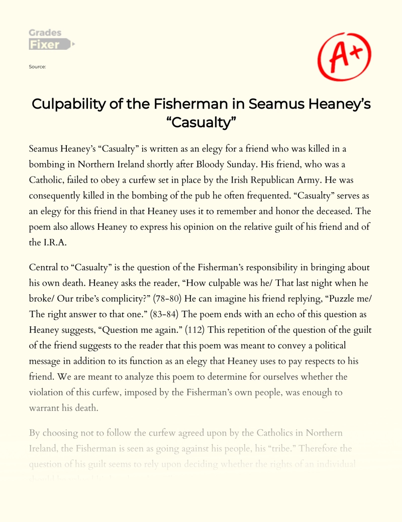 Culpability of The Fisherman in Seamus Heaney’s "Casualty" Essay