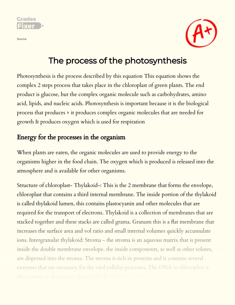 Study of The Process of The Photosynthesis and Its Features Essay