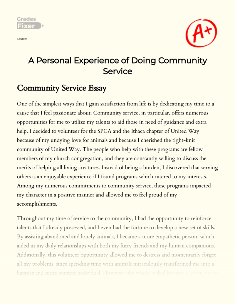 essay on community involvement