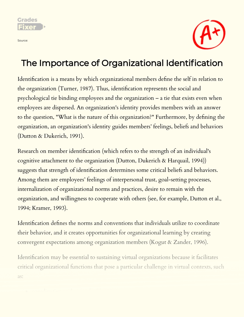 The Importance of Organizational Identification Essay