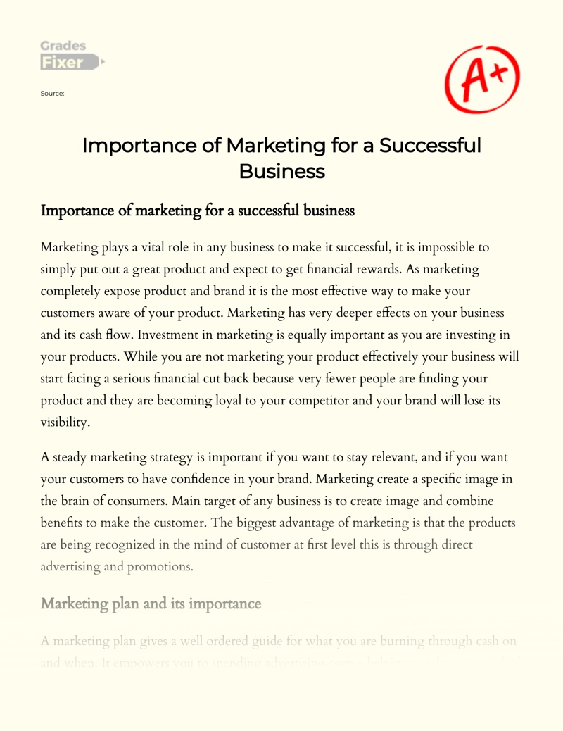 Importance of Marketing for a Successful Business Essay