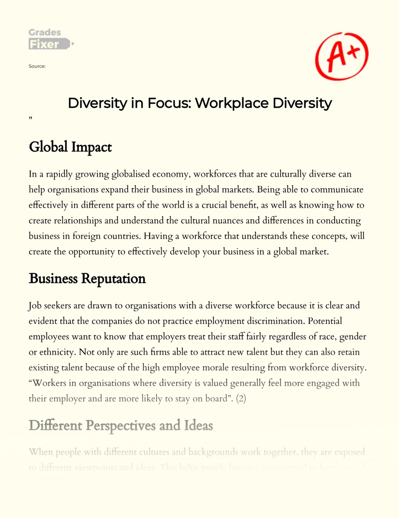 Diversity in Focus: Workplace Diversity essay