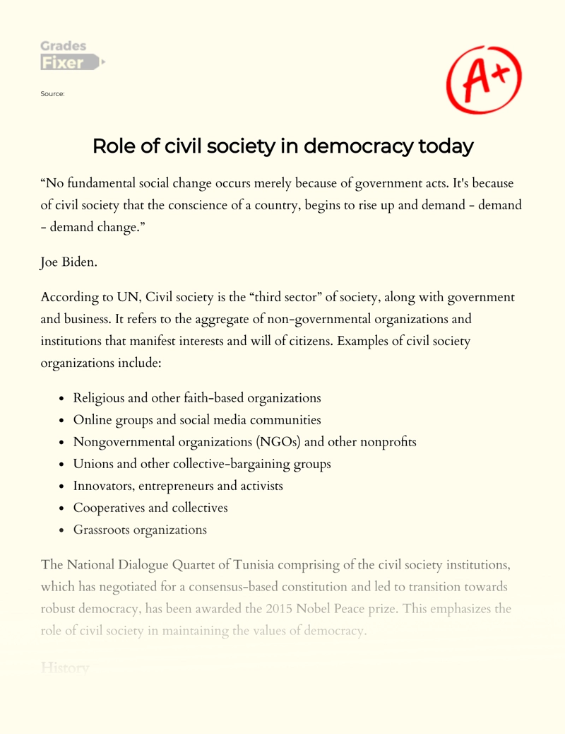Role of Civil Society in Democracy Today essay