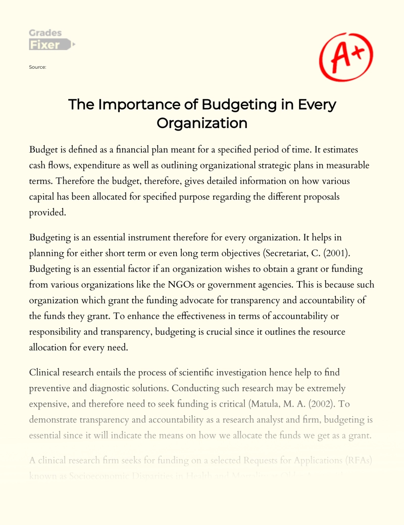 The Importance of Budgeting in Every Organization essay