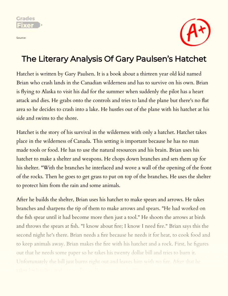 The Literary Analysis of Gary Paulsen’s Hatchet Essay
