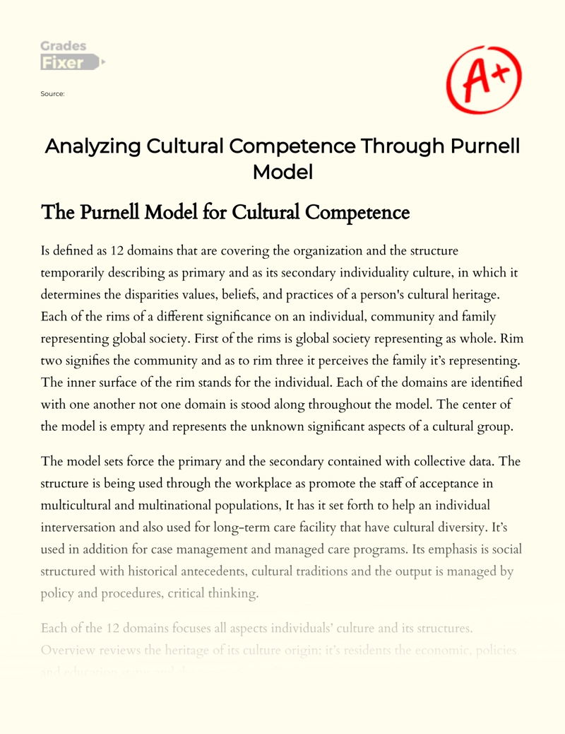 Purnell Model for Cultural Competence: Analysis Essay