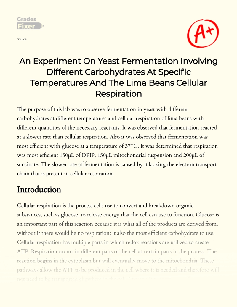 An Experiment on Yeast Fermentation Involving Different Carbohydrates at Specific Temperatures and The Lima Beans Cellular Respiration Essay