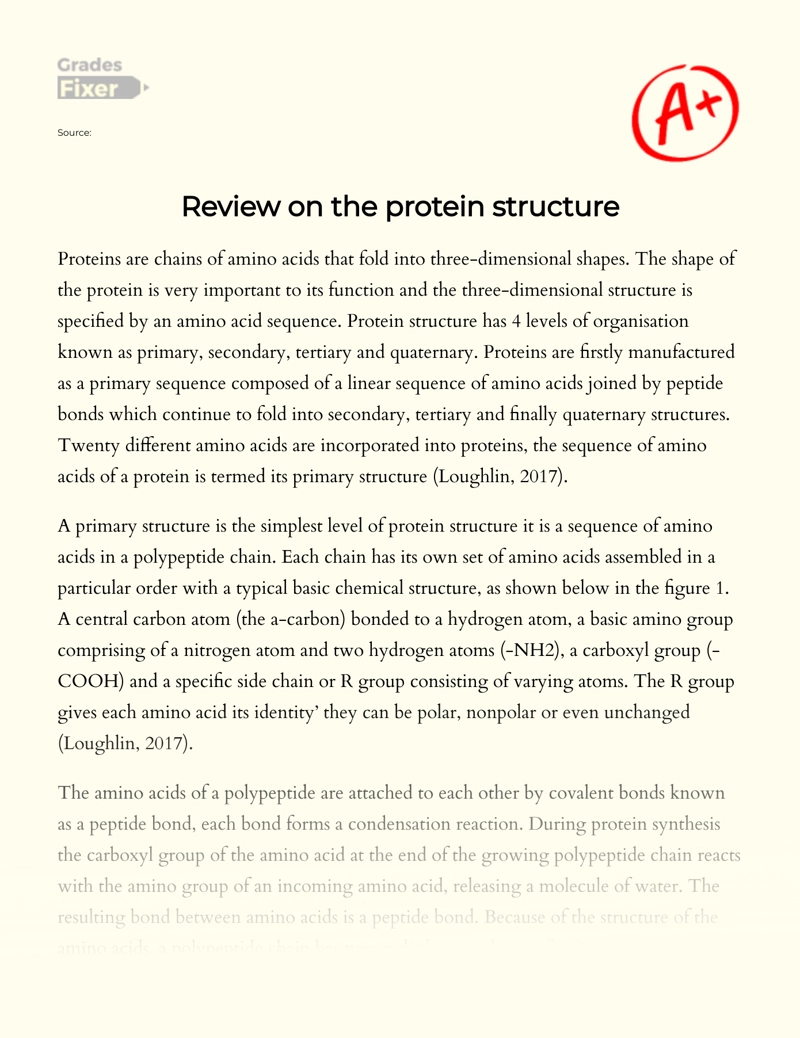 Review on The Protein Structure Essay