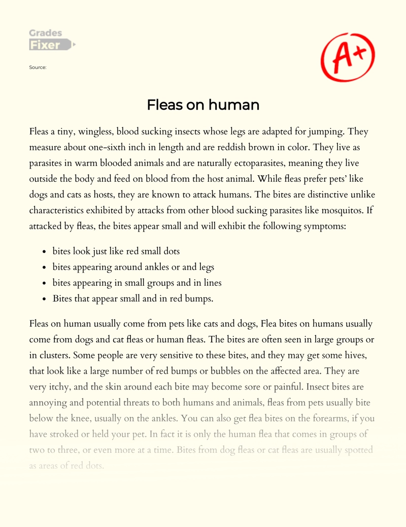 Fleas on Human Essay
