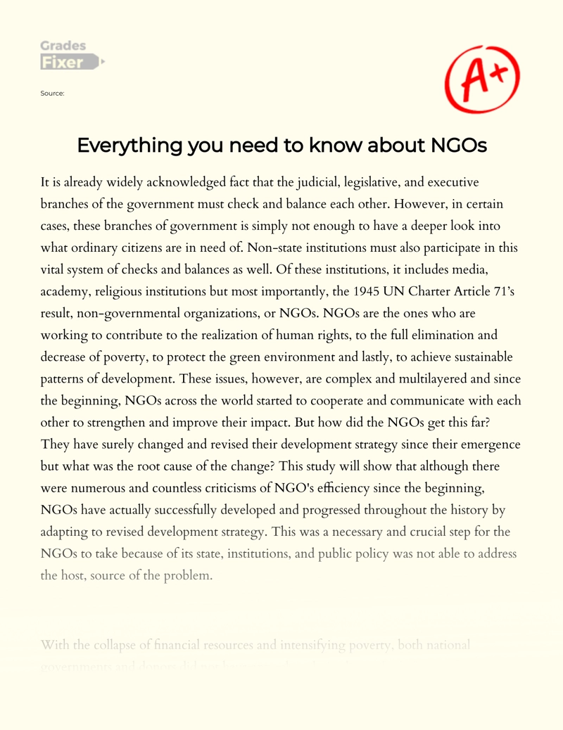 Everything You Need to Know About Ngos essay