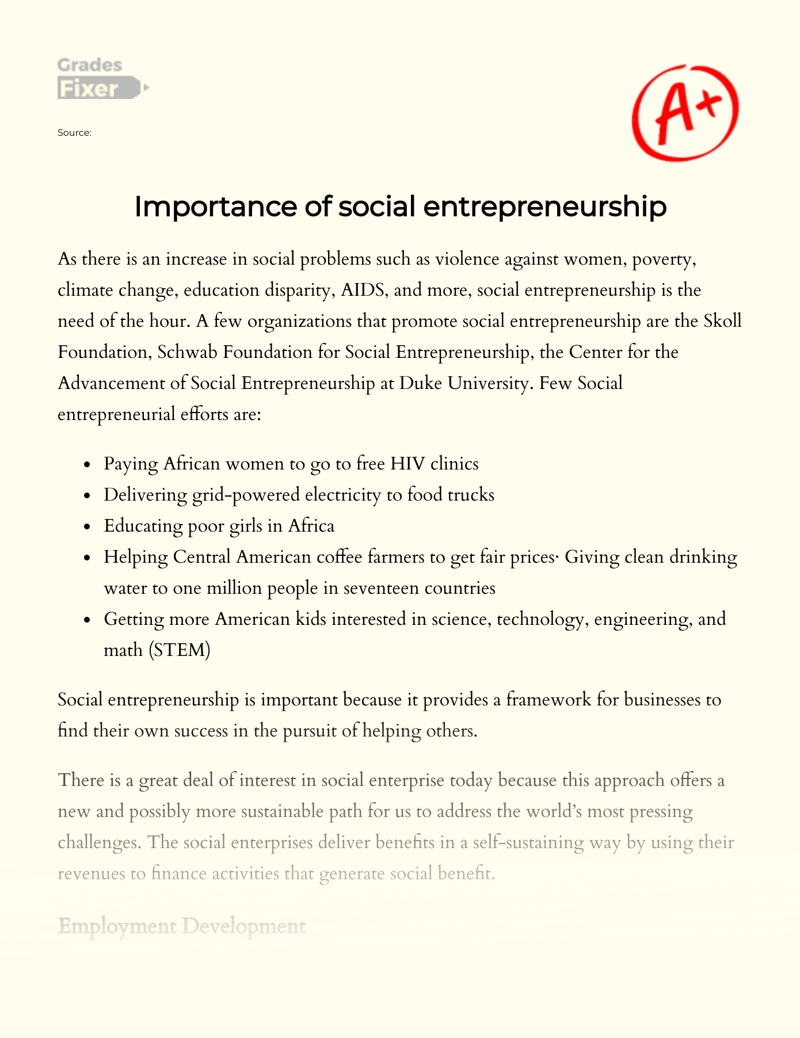 Importance of Social Entrepreneurship Essay